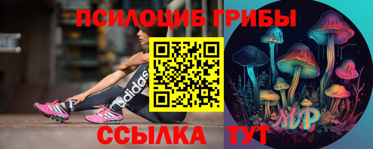 Галлюциногенные грибы ЛСД Киселёвск